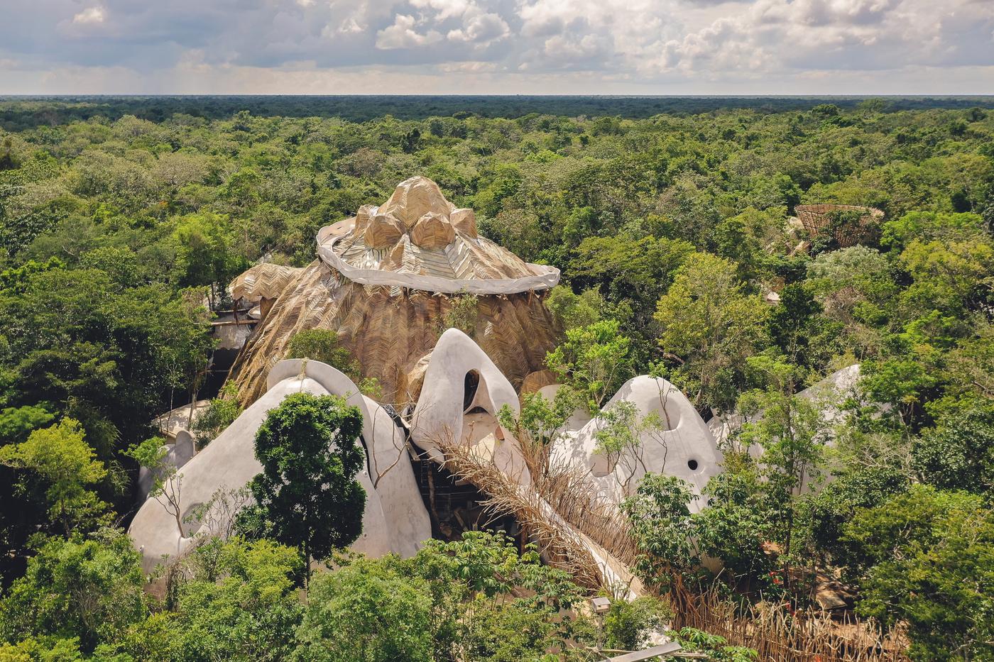 L’art dans la jungle