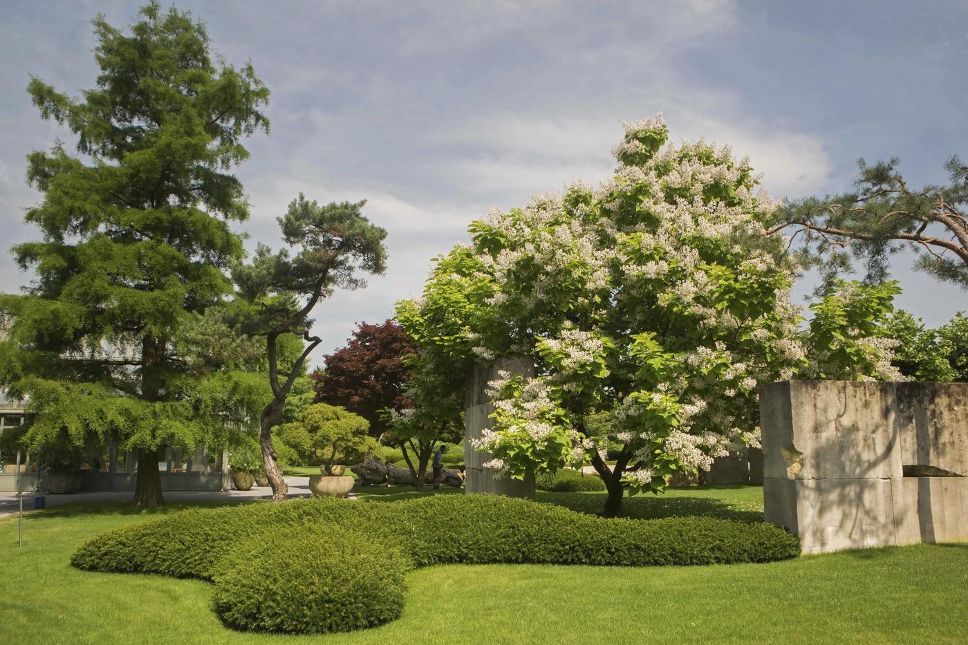 Le Tree Museum (Baummuseum),  Enea Garden, à ￼￼Rapperswil-Jona, Suisse.