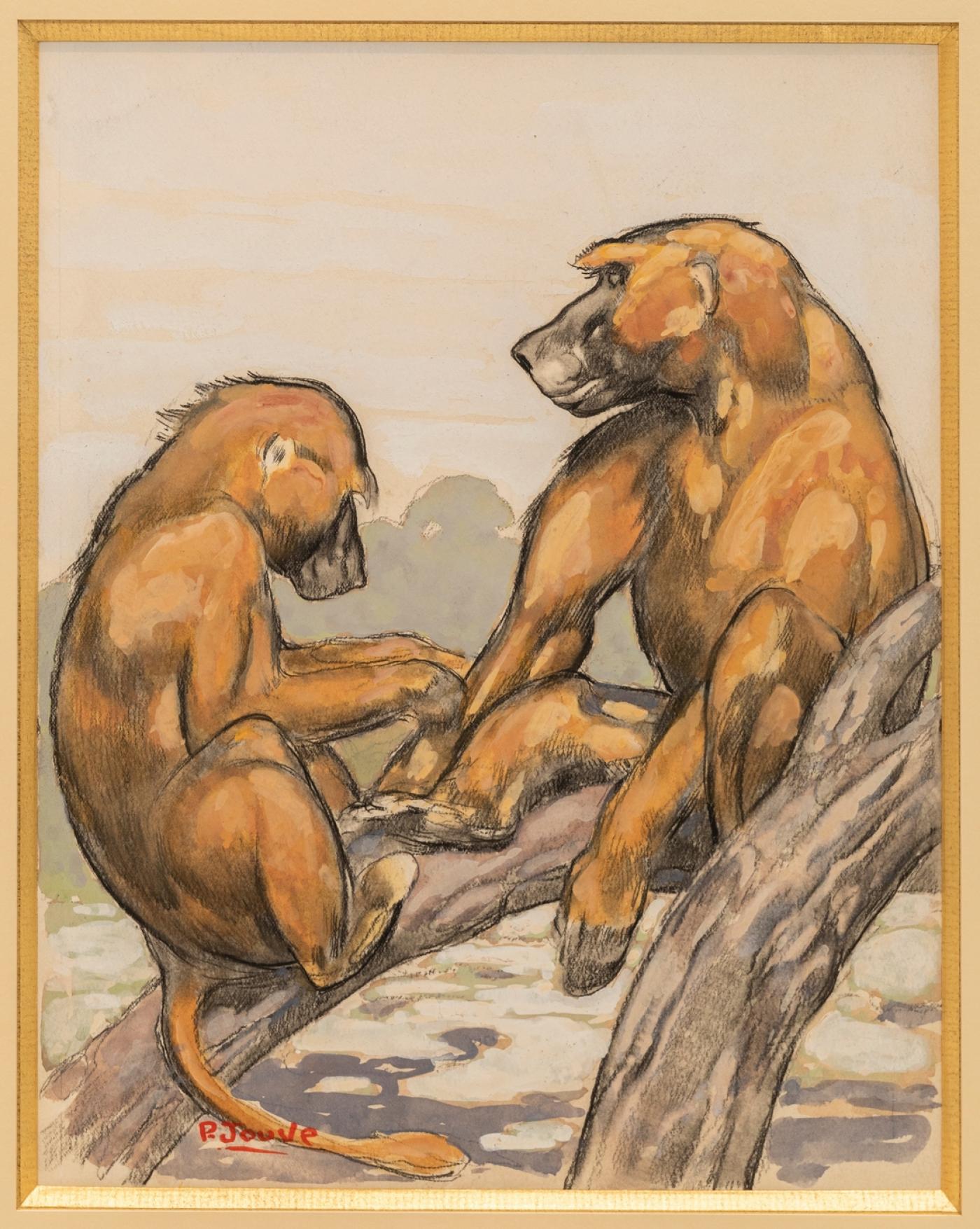 Paul Jouve, « Babouins branchés » dessin préparatoire, 1943, technique mixte sur papier, 32 x 25 cm.