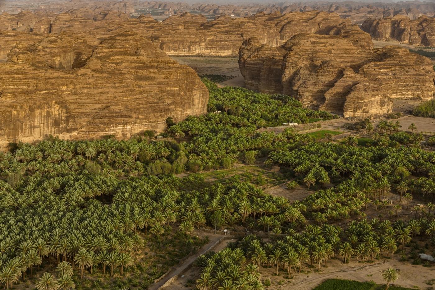 Oasis d’Al Ula.