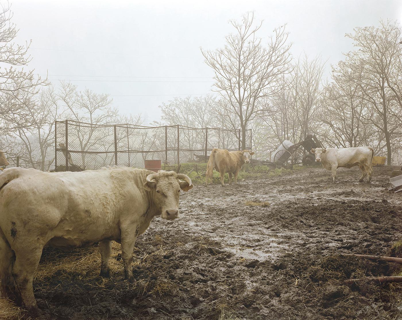 Raymond Depardon chez RX