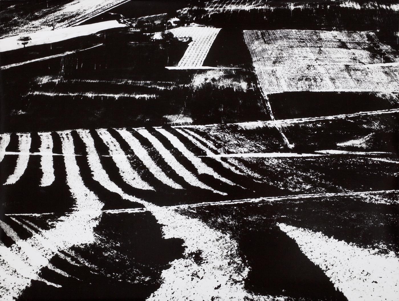 Mario Giacomelli, "Paesaggio, presa di coscienza della natura", vers 1970, 30,4 x 40,6 cm .