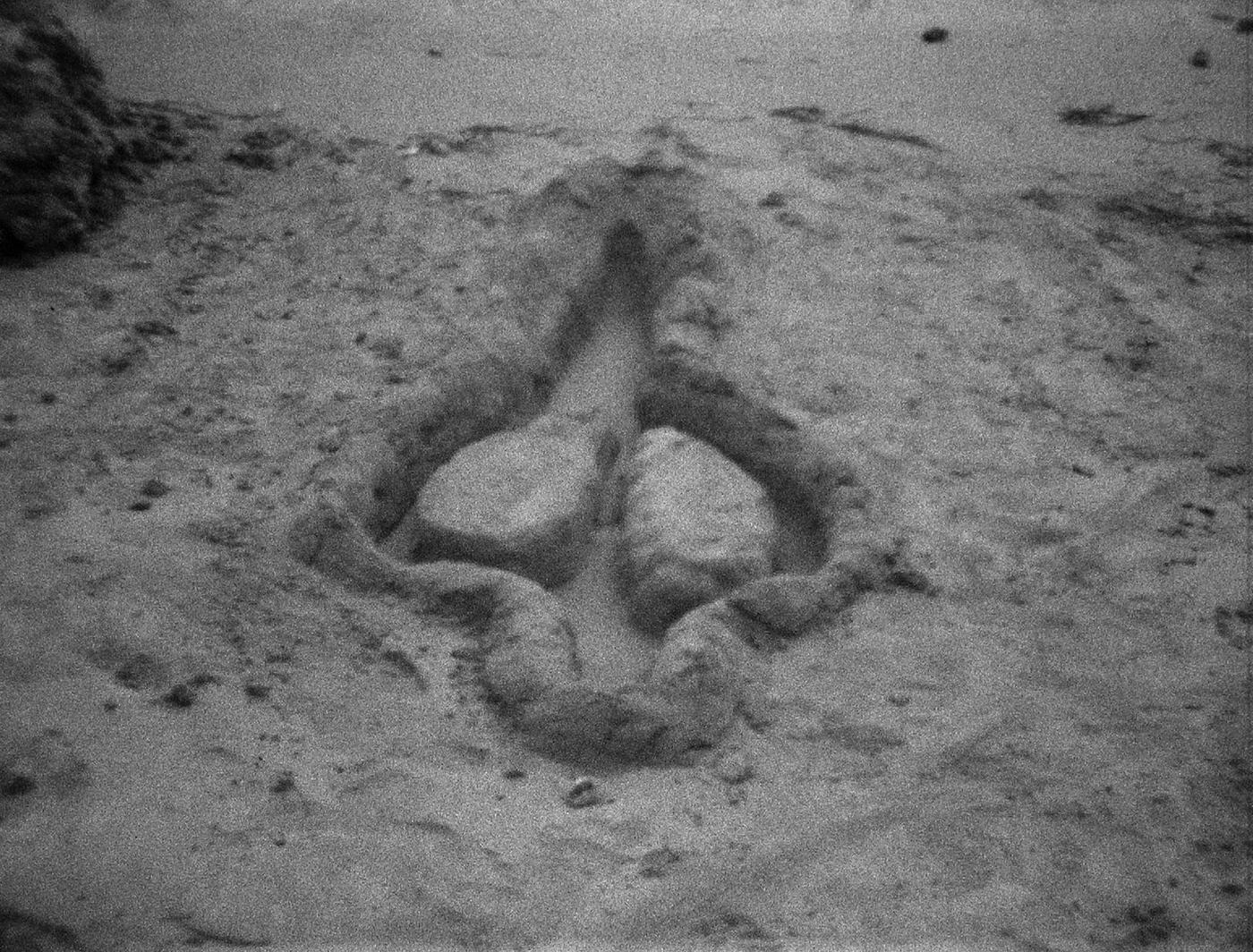 Ana Mendieta, "Untitled", 1981, super-8mm film transferred to high-definition digital media, black and white, silent, 02:54 minutes.