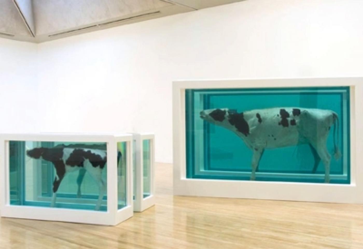 Damien Hirst est-il un artiste toxique ?