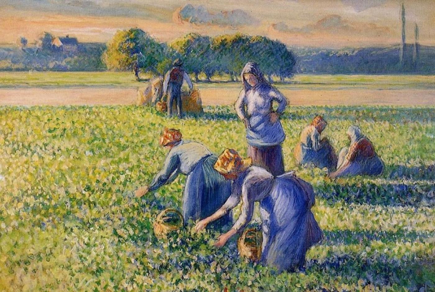 Un Pissarro définitivement restitué