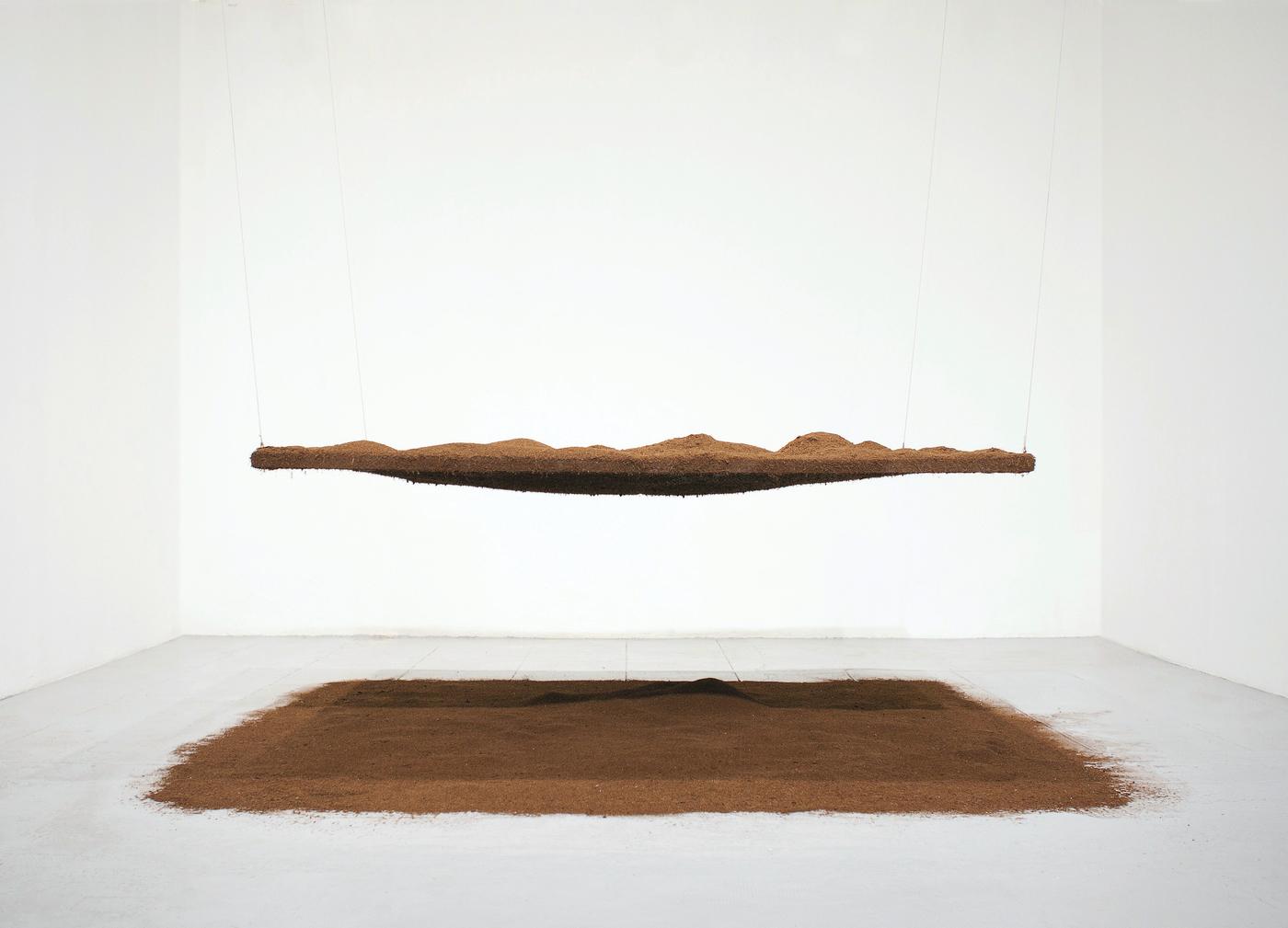 Caroline Le Méhauté, "Négociation - 34 Porter surface", 2011, tourbe de coco bois et métal, 120 x 280 x 200 cm.