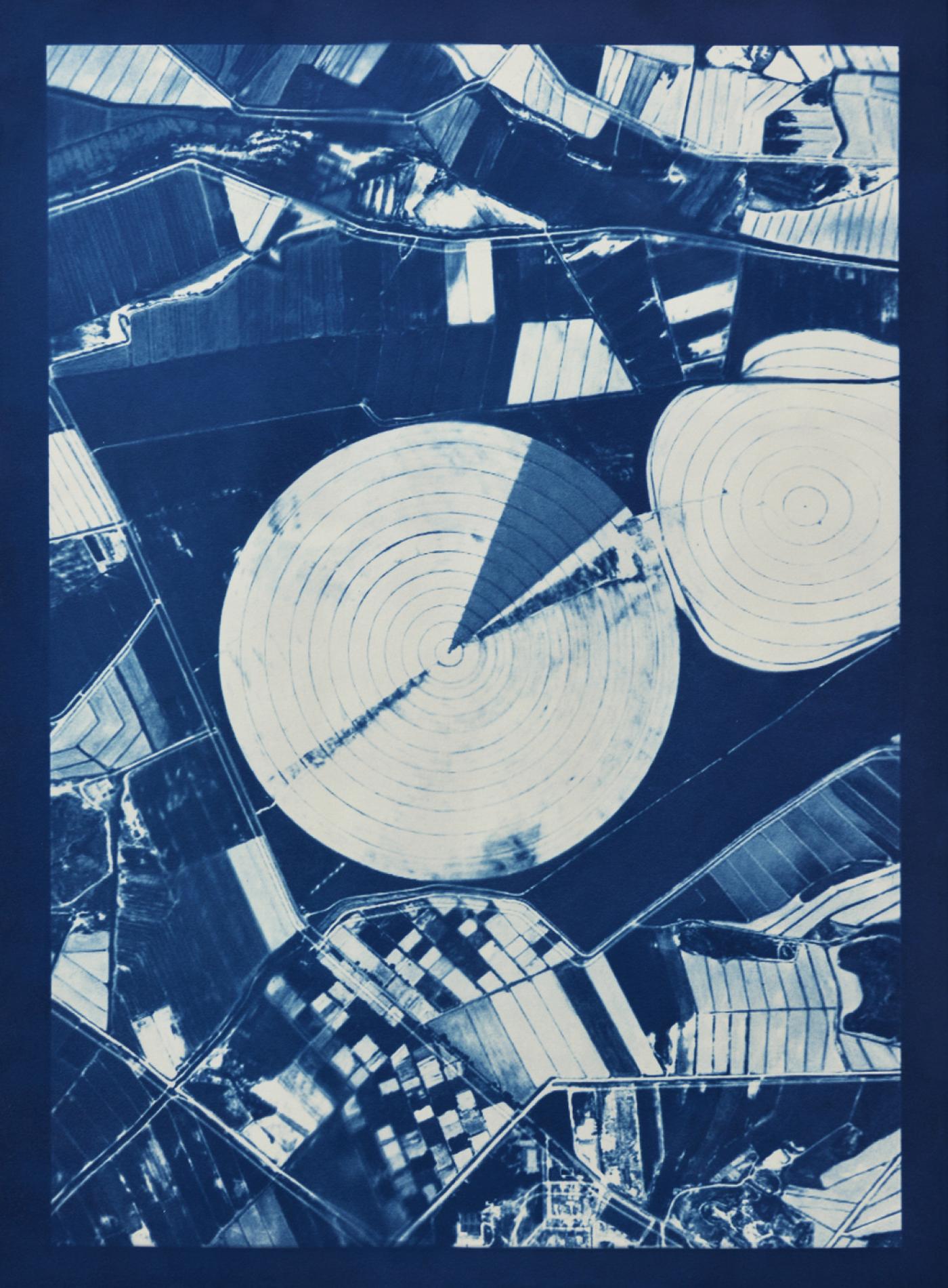 Caroline Le Méhauté, "Graphein 1", 2019, cyanotype, 80 x 60 cm.