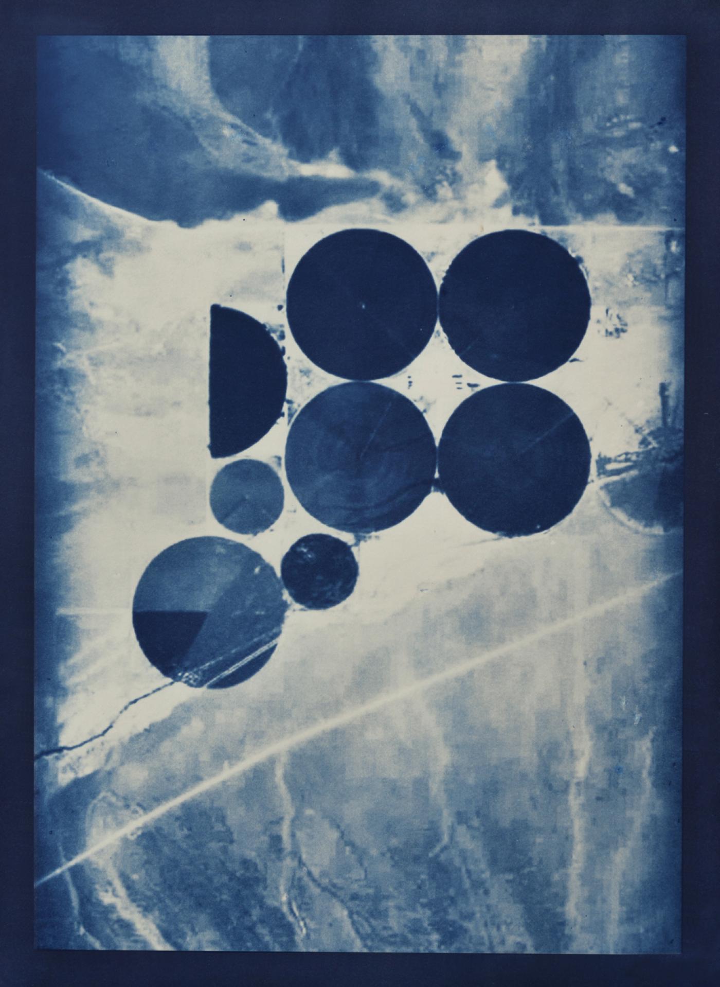 Caroline Le Méhauté, "Graphein 4", 2019, cyanotype, 80 x 60 cm.