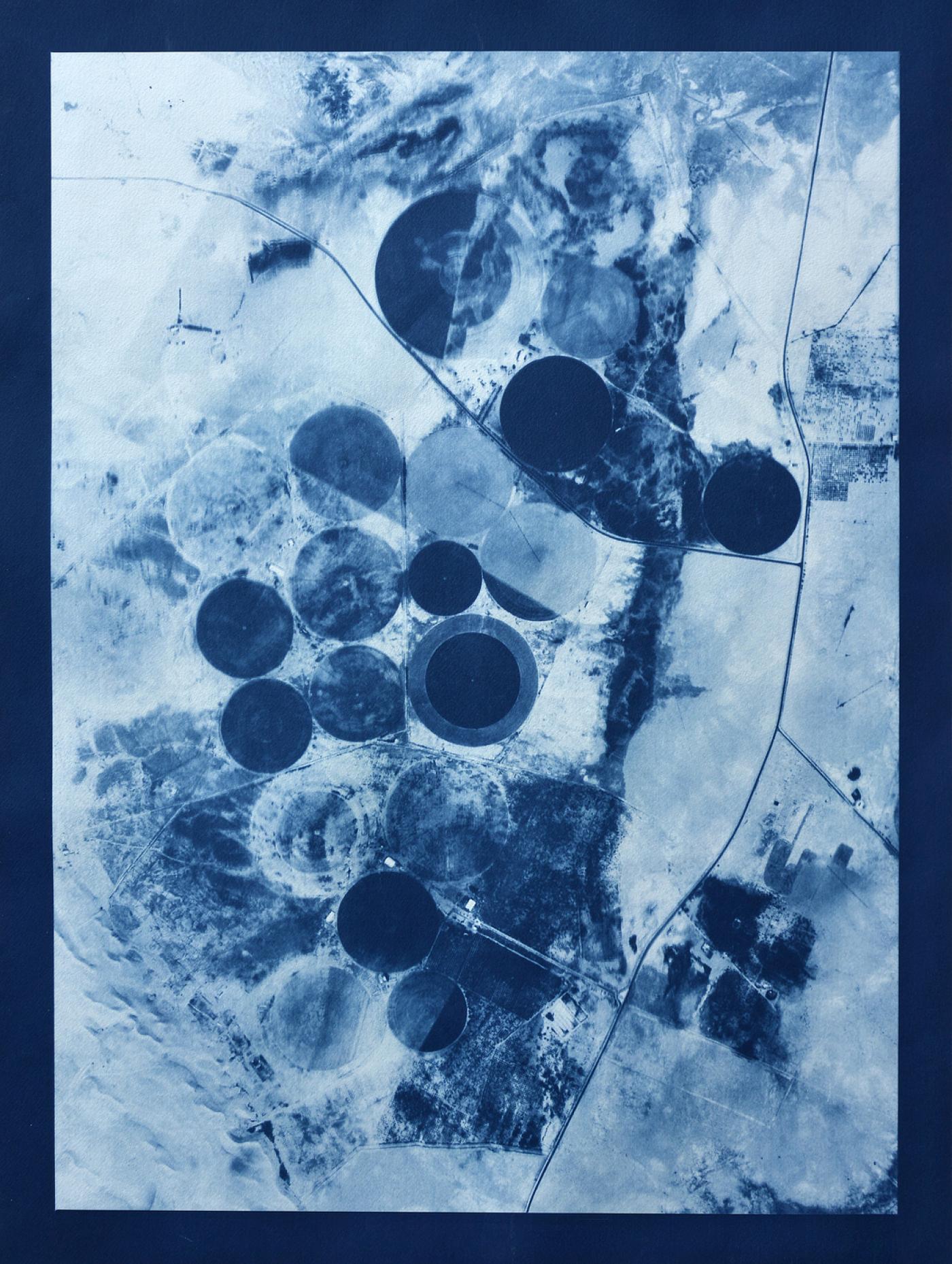 Caroline Le Méhauté, "Graphein 7", 2019, cyanotype, 80 x 60 cm.