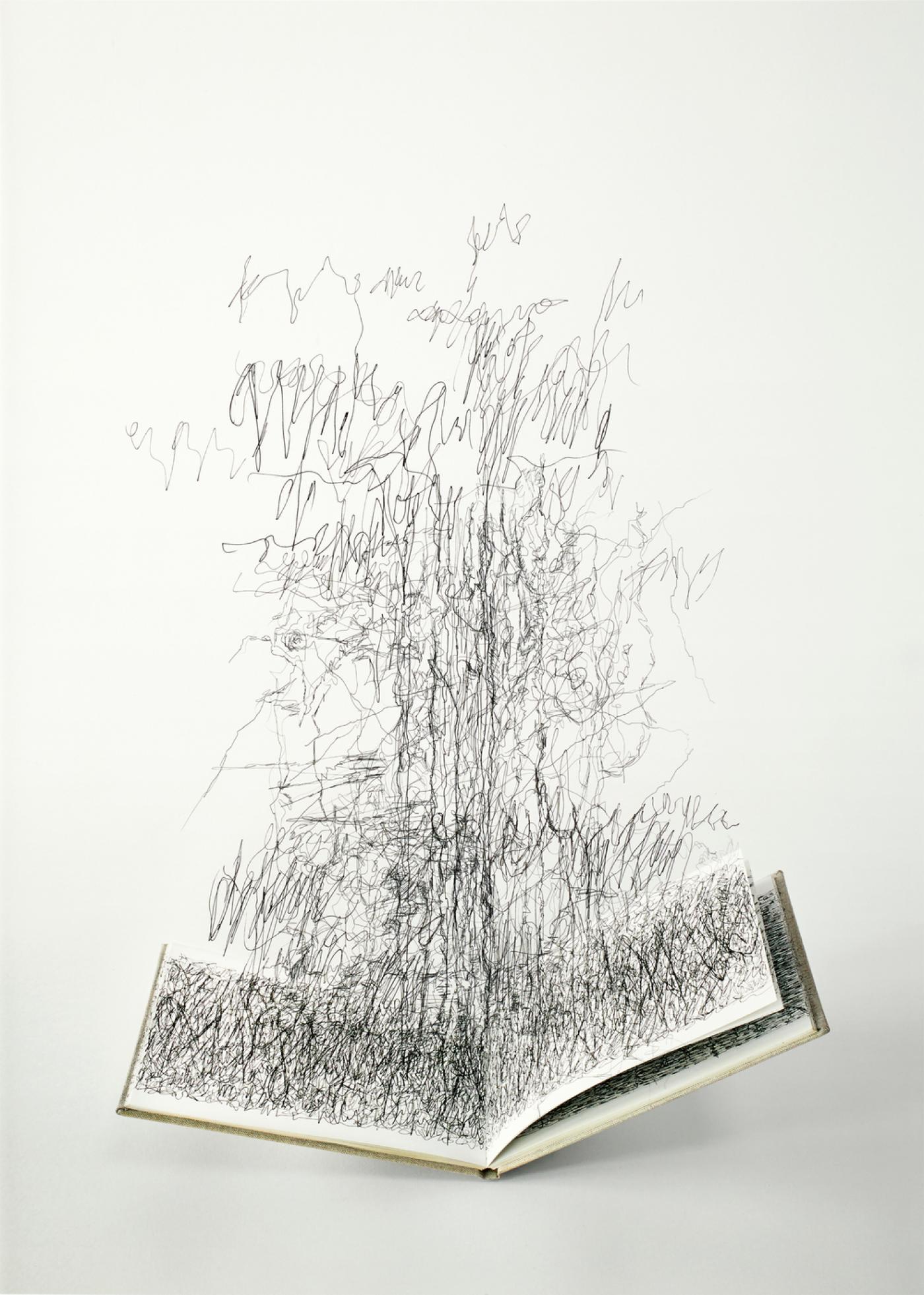 Bertrand Flachot, "À main levée n°13", 2018, pigment liner sur impression jet d'encre pigmentaire, 58 x 40 cm.