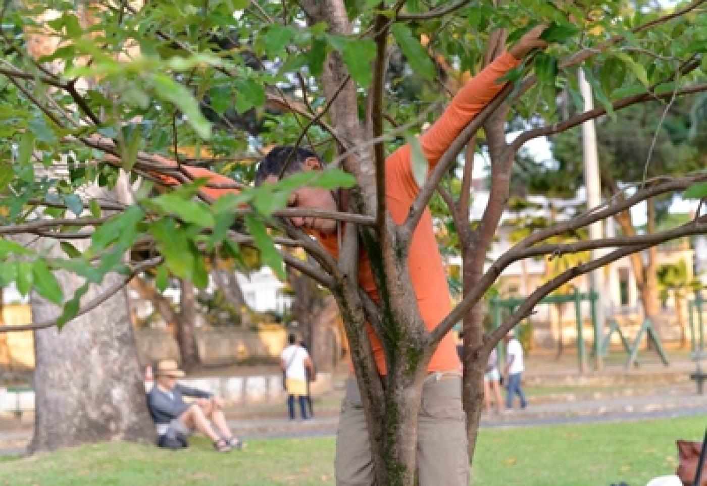 Pierre Capelle s’invite dans le jardin des Tuileries