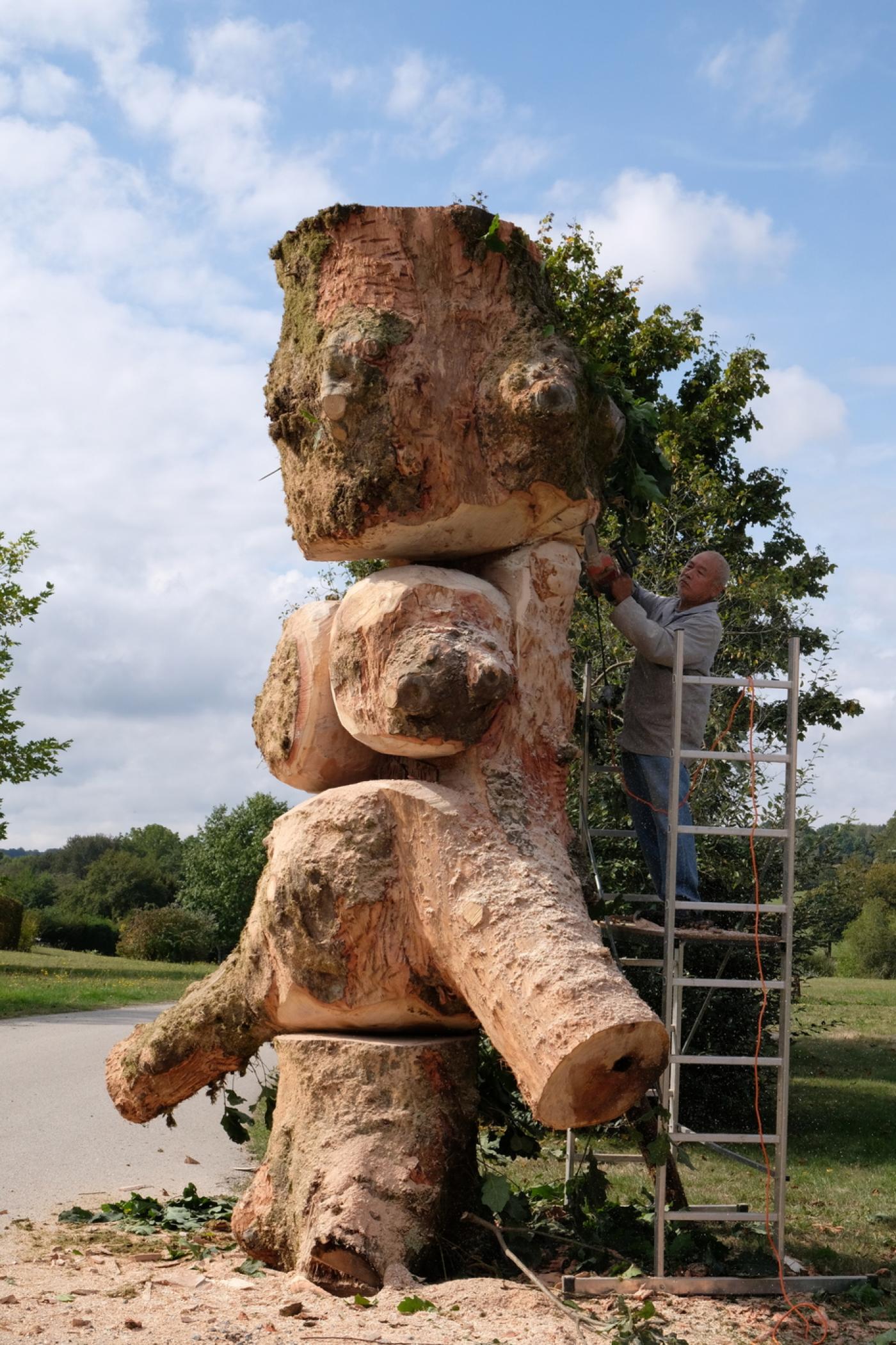 L'homme et l'arbre