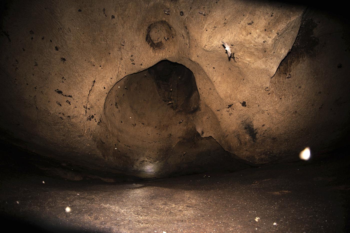 Les grottes préhistoriques d'Azokh : le gouvernement azerbaïdjanais s'est plaint du vandalisme auquel elles auraient été soumises.
