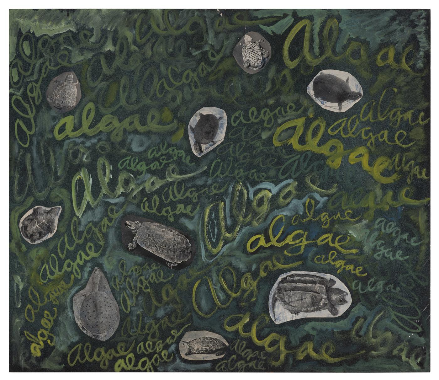 Robert Smithson, "Algae, algae", vers 1961-1963, peinture et collage de photos sur Masonite, 59,3 x 69,1 x 0,6 cm.