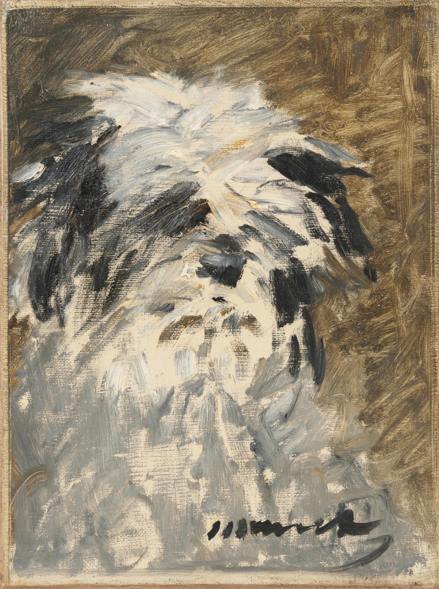 Un petit chien de Manet redécouvert