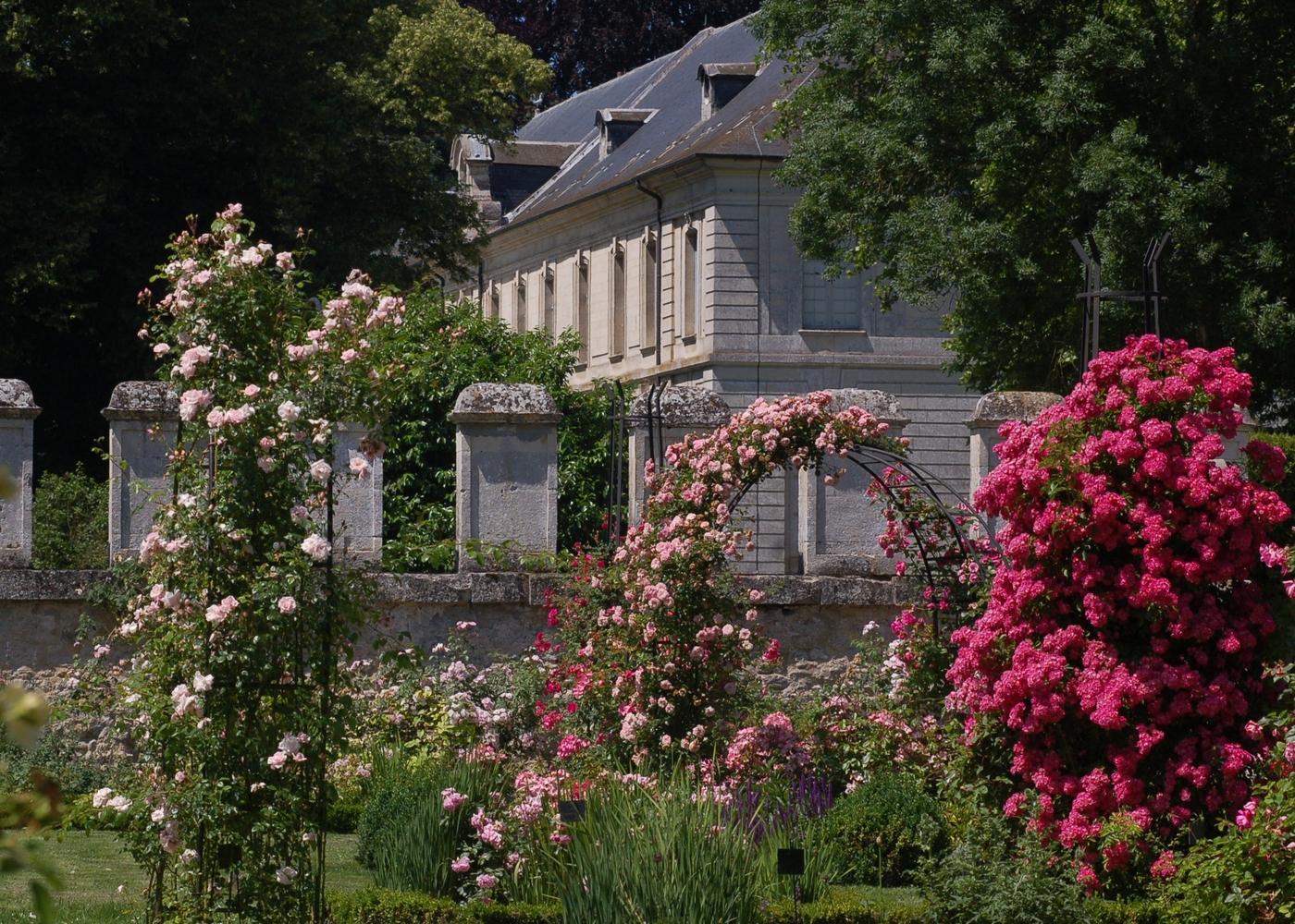 La roseraie de l'abbaye royale de Chaalis.