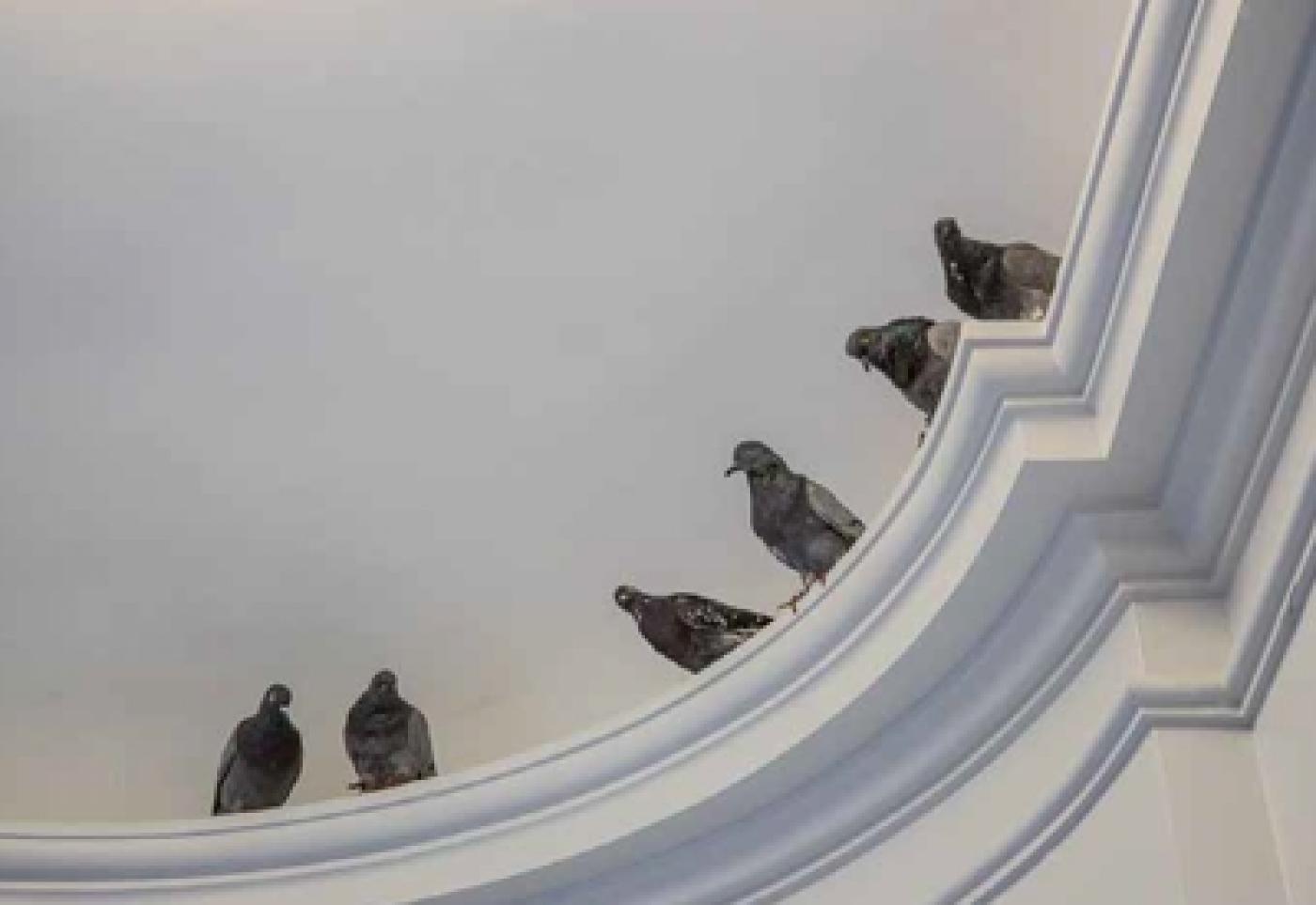 Maurizio Cattelan met le doigt là où ça fait mal à la Monnaie de Paris