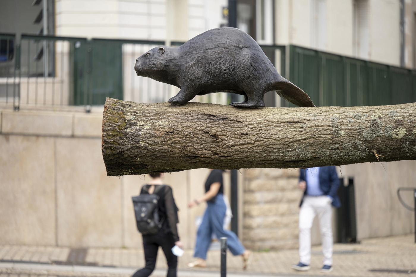 De l'art pour les cinq sens