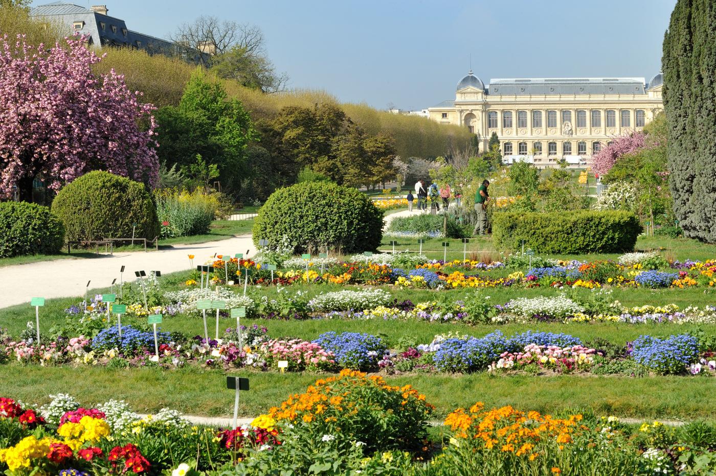 Les Jardins de la Perspective et la Grande Galerie de l’Évolution du Muséum national d'histoire naturelle, Paris.