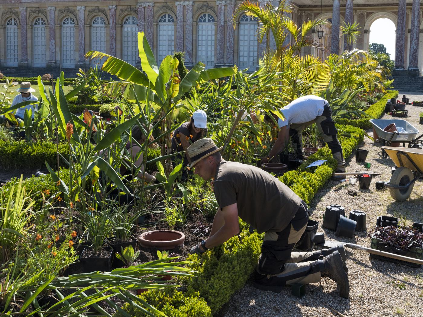 Le Campus Versailles, horticulture.