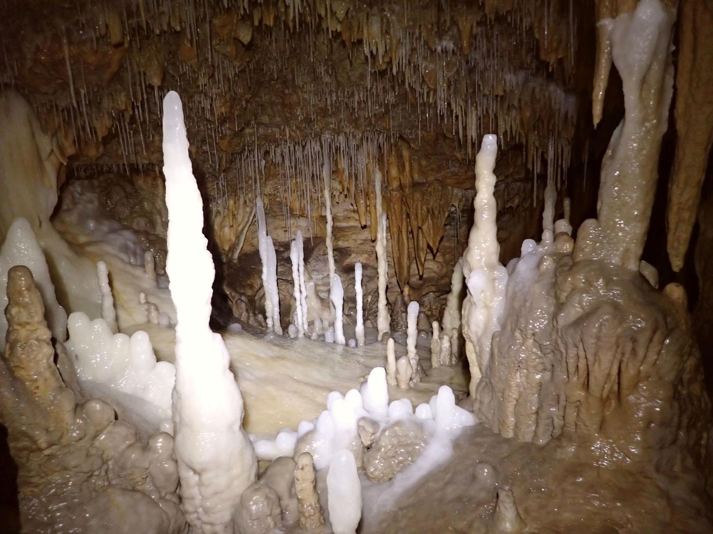 Découverte d'une grotte sépulcrale de l'âge du Bronze en Charente