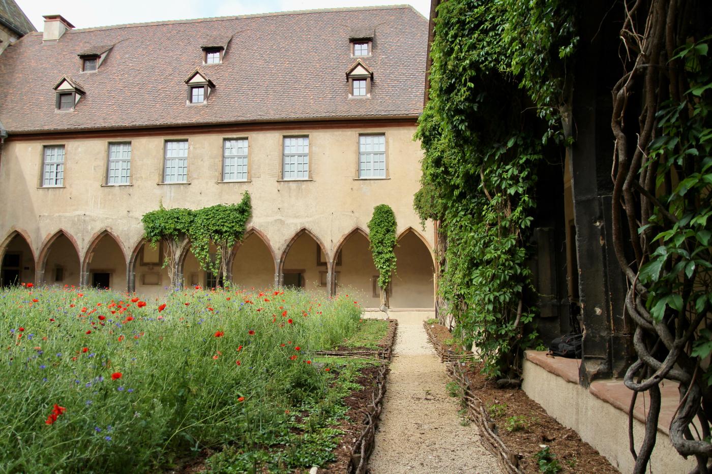 Peau neuve pour la bibliothèque des Dominicains à Colmar