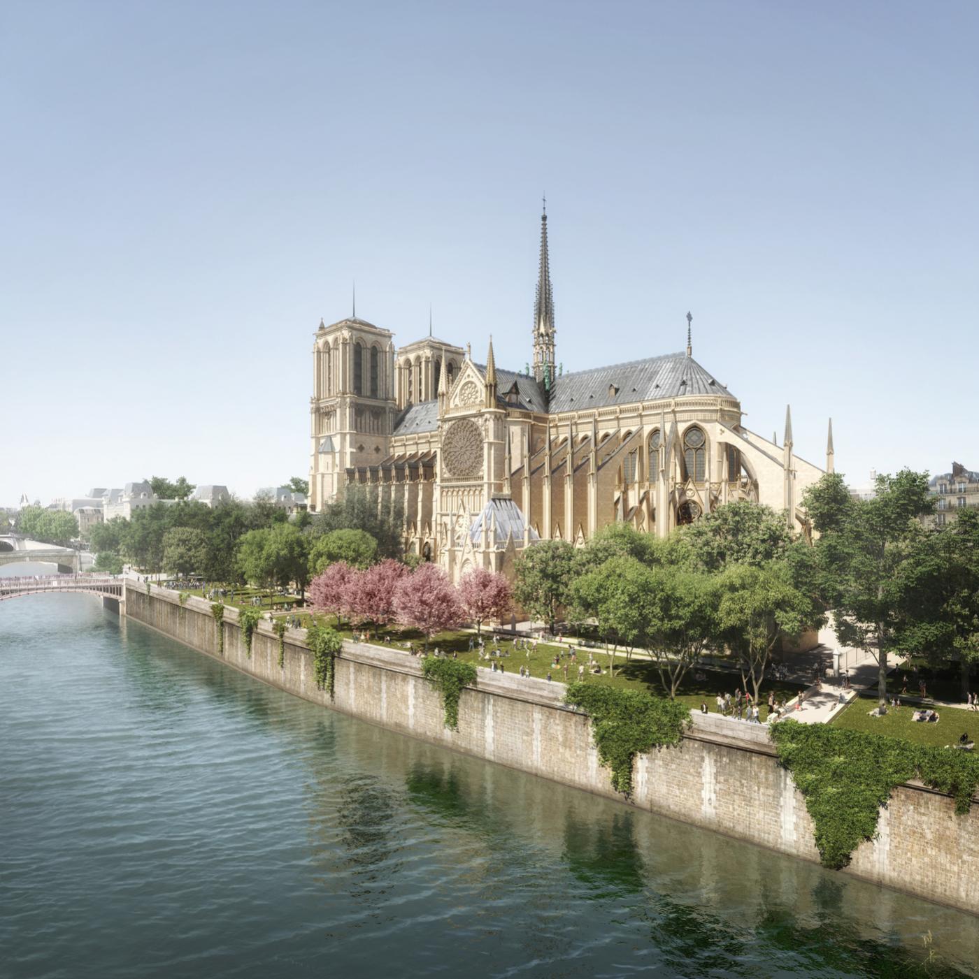 Une clairière aux abords de Notre-Dame