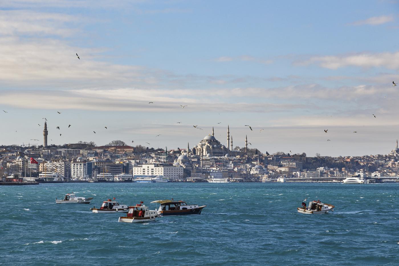 En Turquie, le marché de l’art ne connaît pas la crise 