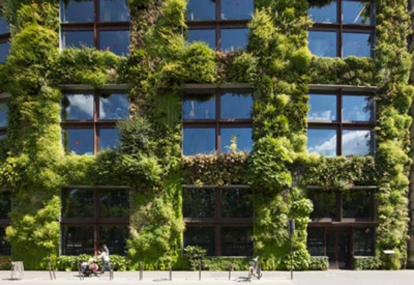 Le mur végétal du musée du quai Branly cherche des mécènes