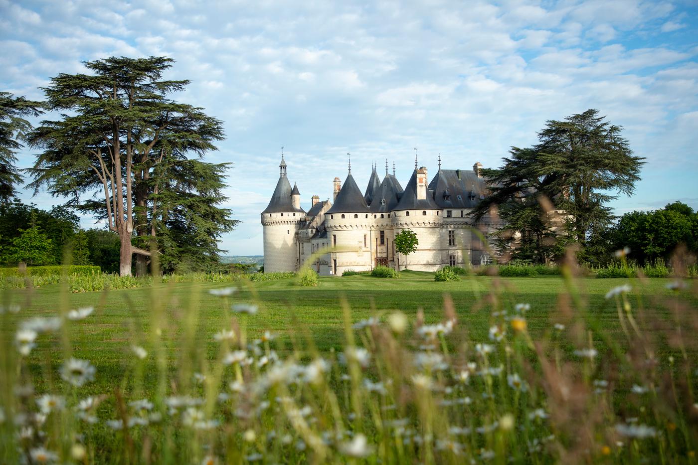 Domaine de Chaumont-sur-Loire.