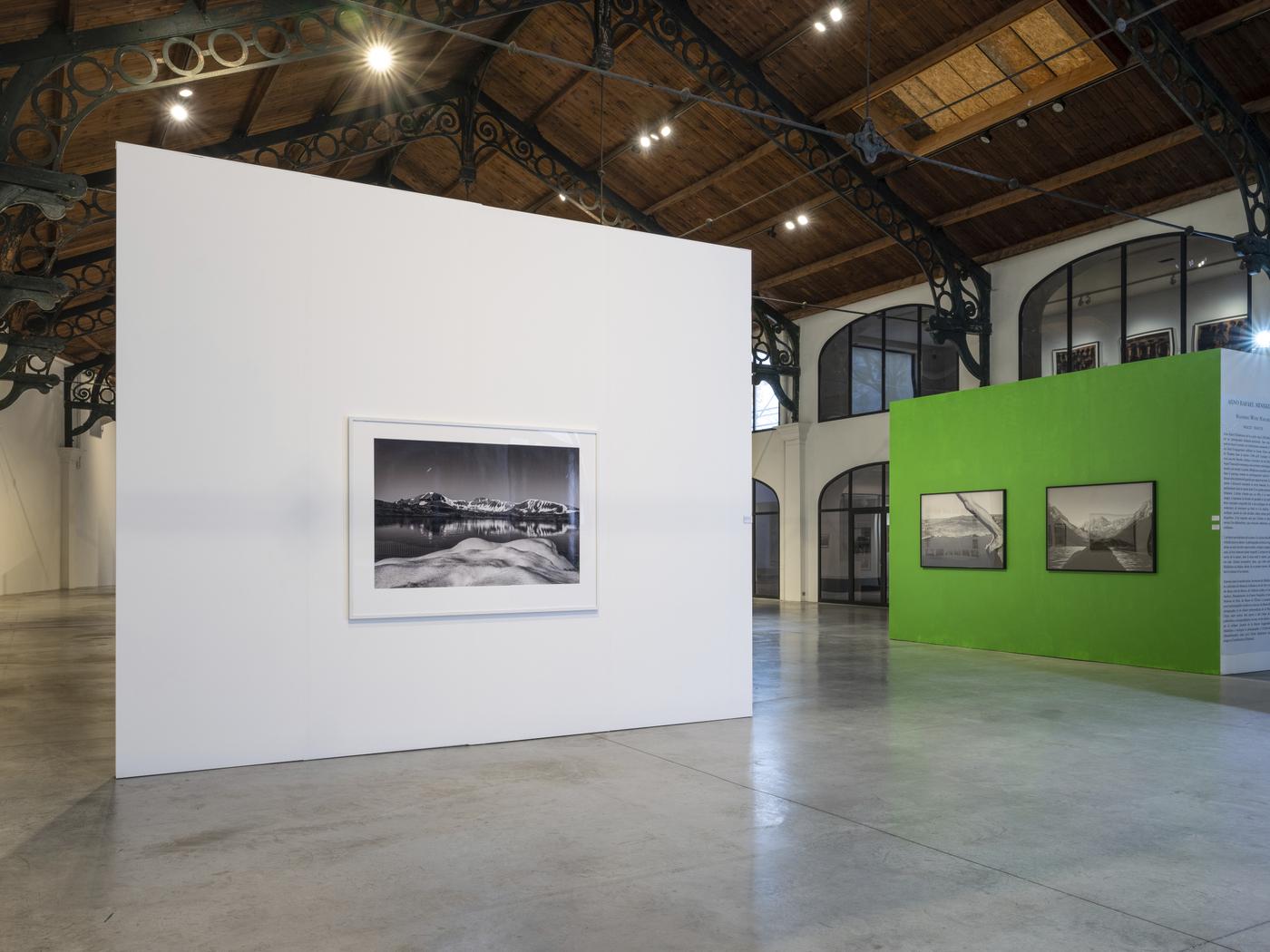 Vue de l'exposition « Standing with nature » à La patinoire royale - Galerie Valérie Bach.