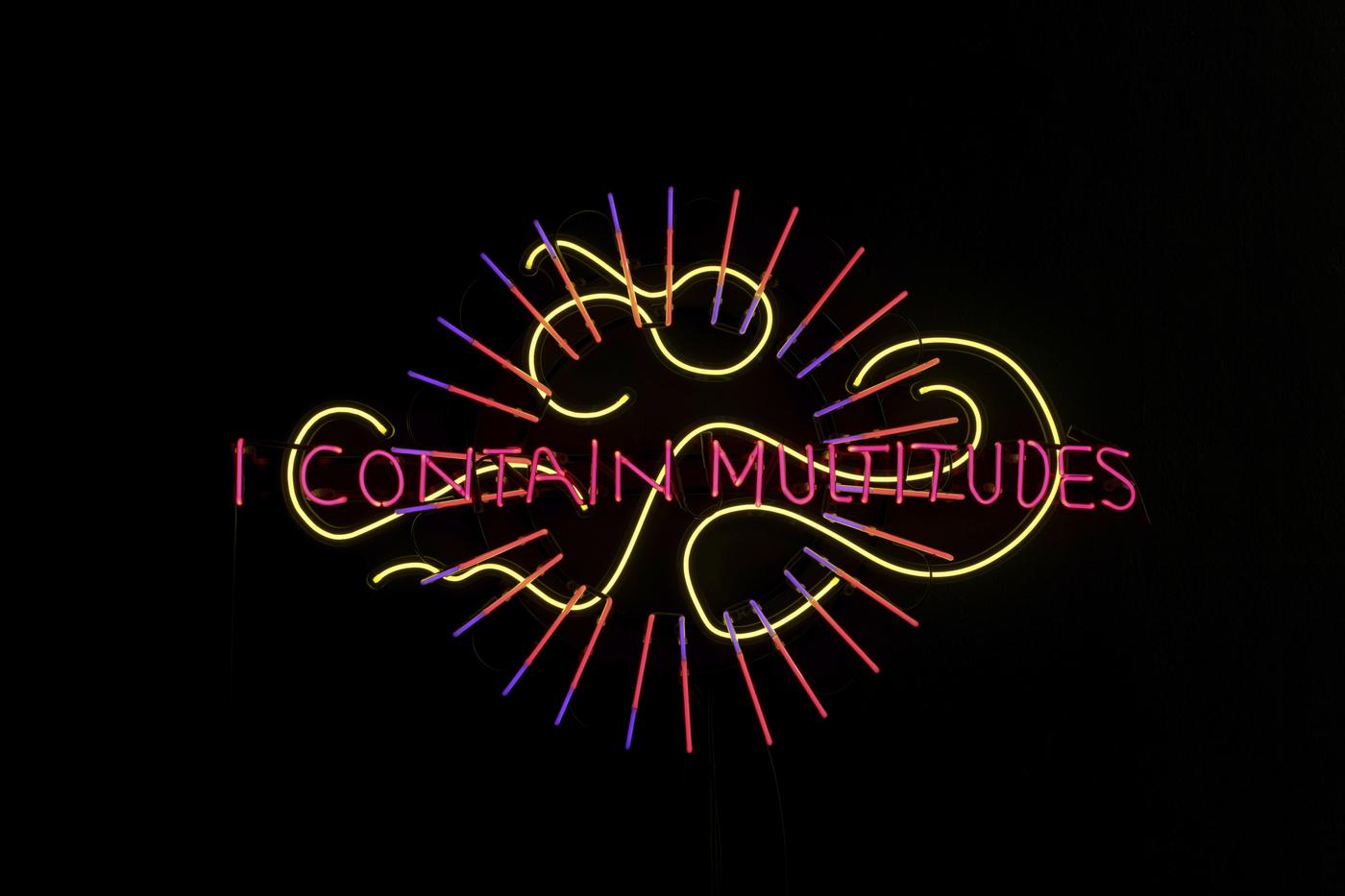 Marinella Senatore, "I Contain Multitudes ", 2022, tubes en verre avec mélange de gaz sans mercure (greeNeon), LED flex, et méthacrylate coulé montés sur une structure en aluminium anodisé, 110 x 176 cm.