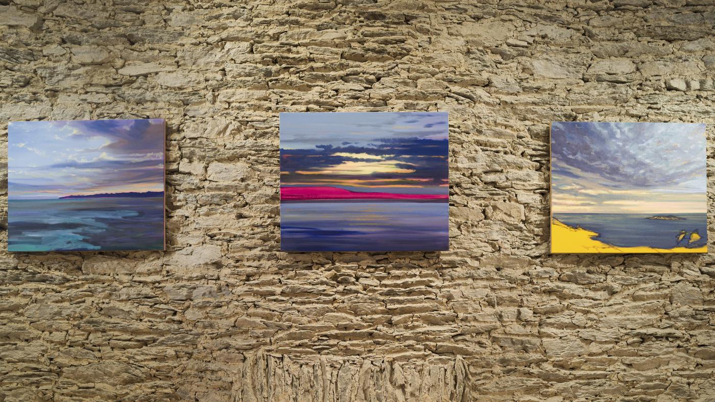 Vue de l'exposition "La Mémoire de l’horizon Olivier Masmonteil" à la galerie Antoine Dupin.