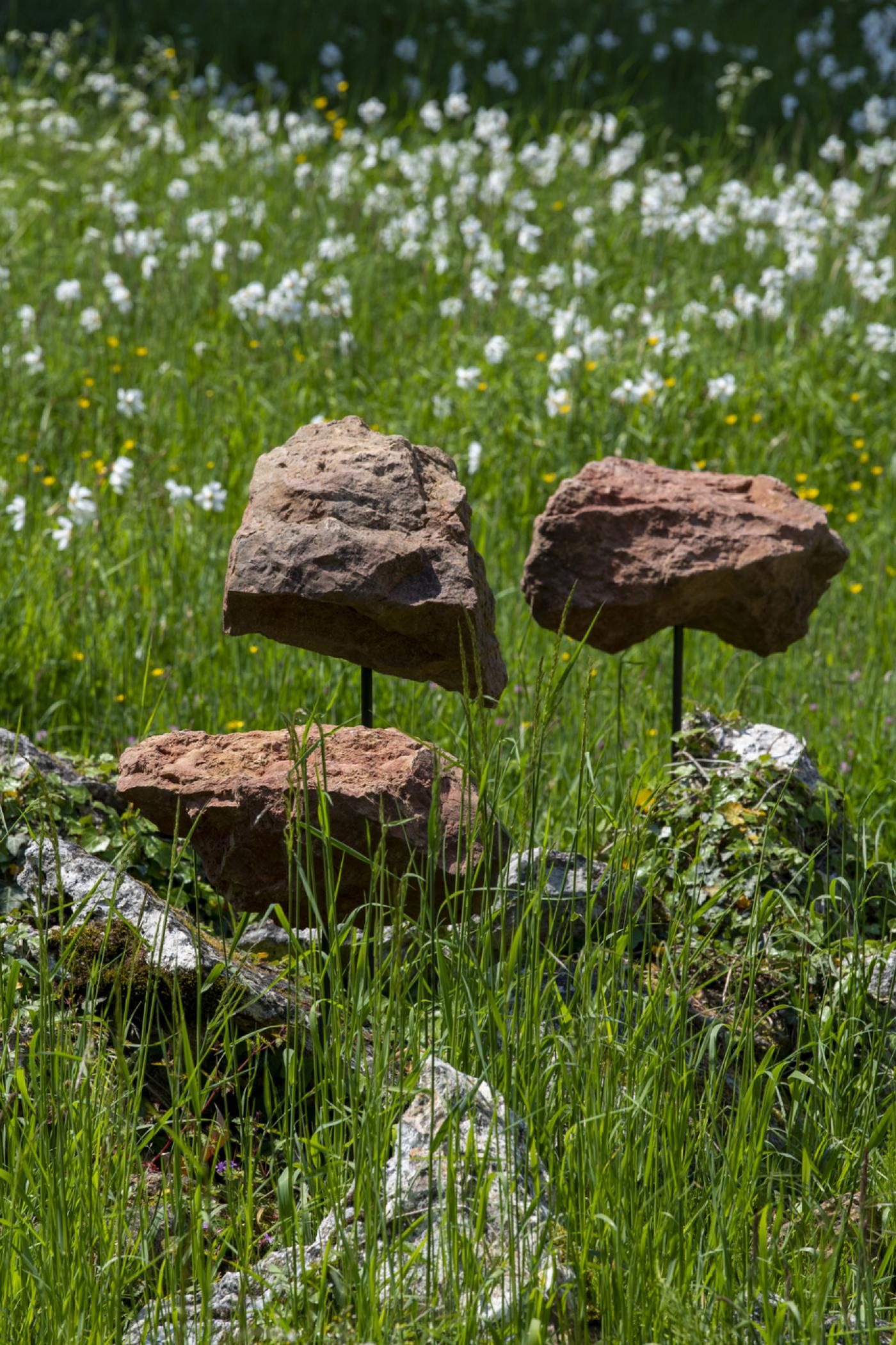 Un jardin anglais habité