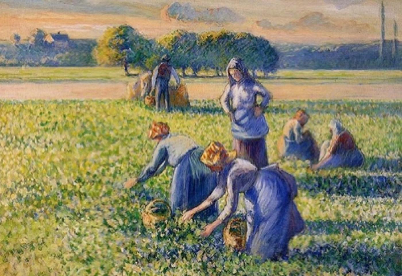 La justice restitue un Pissarro à une famille spoliée