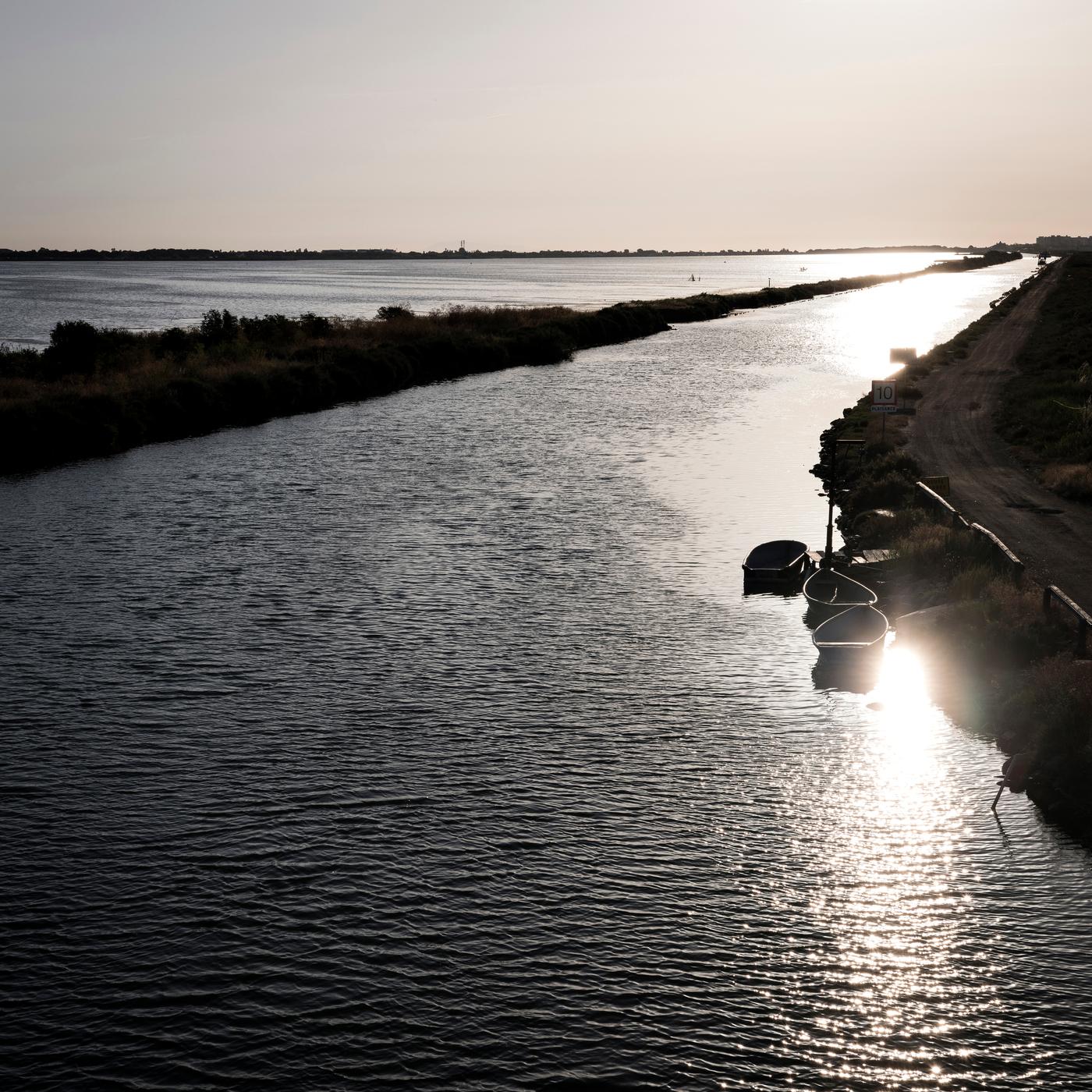 Yohanne Lamoulère, série « Du Rhône à Sète », Canal du Rhône à Sète, printemps 2022.