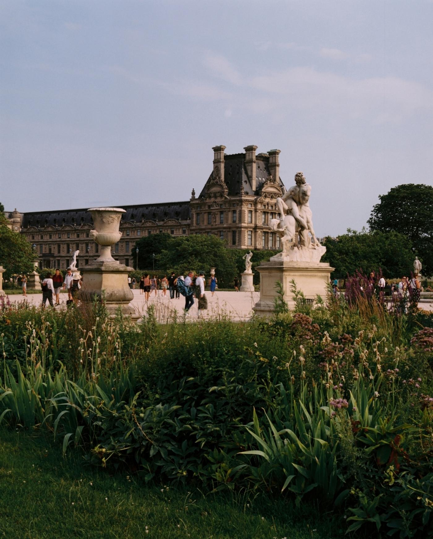 Le Jardin des Tuileries et le musée du Louvre.
