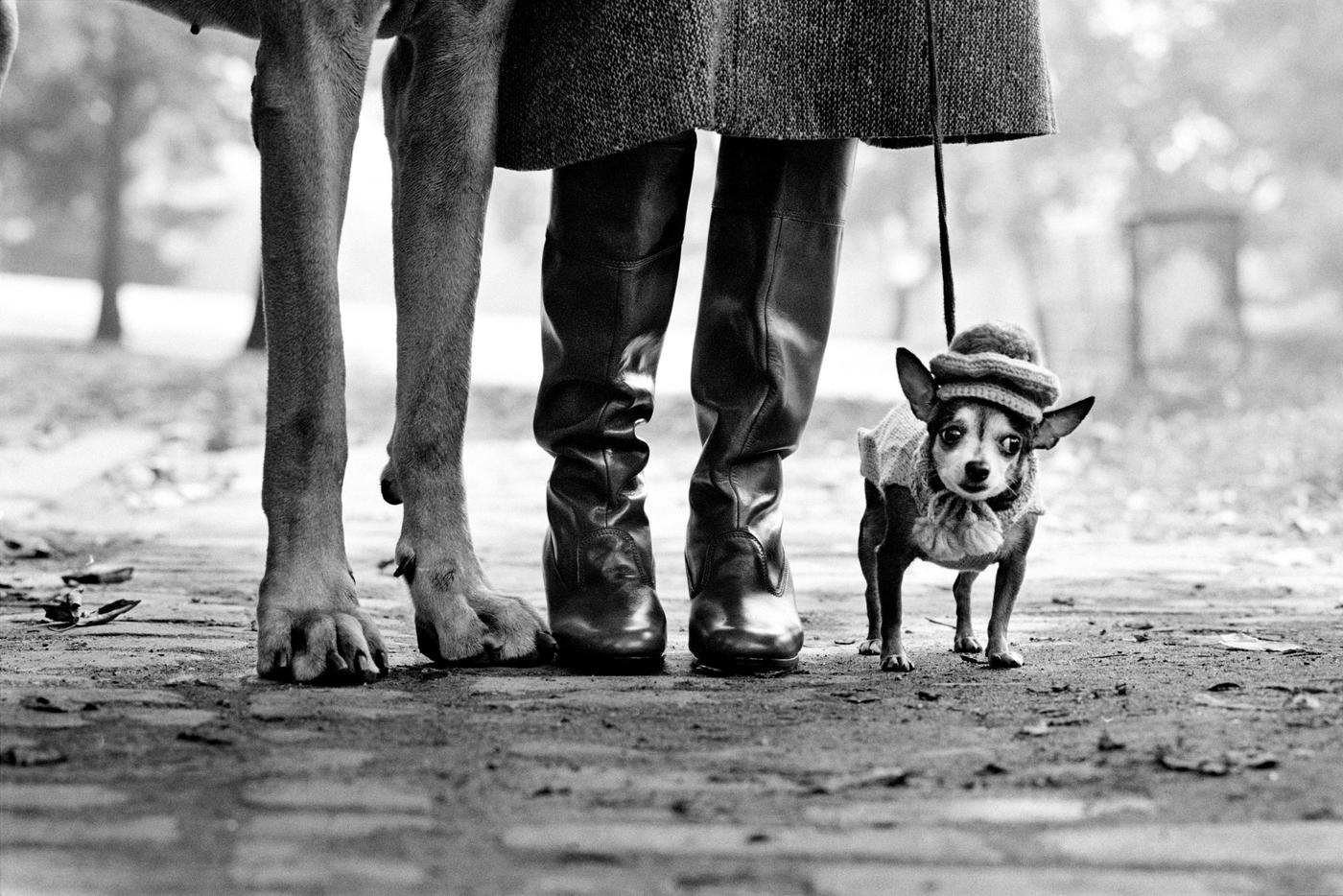 Elliott Erwitt, l'humour au bout de l'objectif