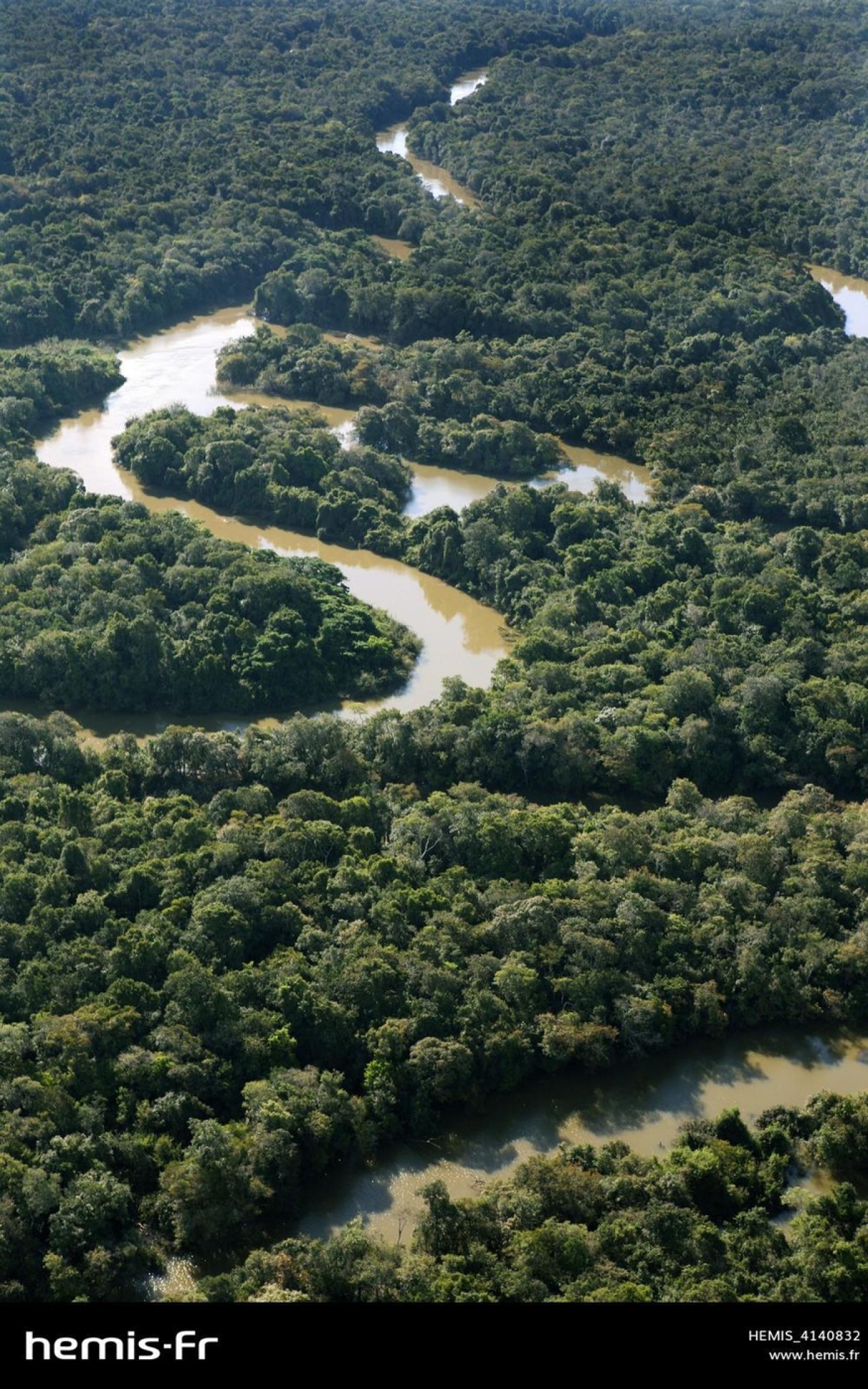 La découverte d'un site archéologique pourrait réécrire l'histoire du Brésil