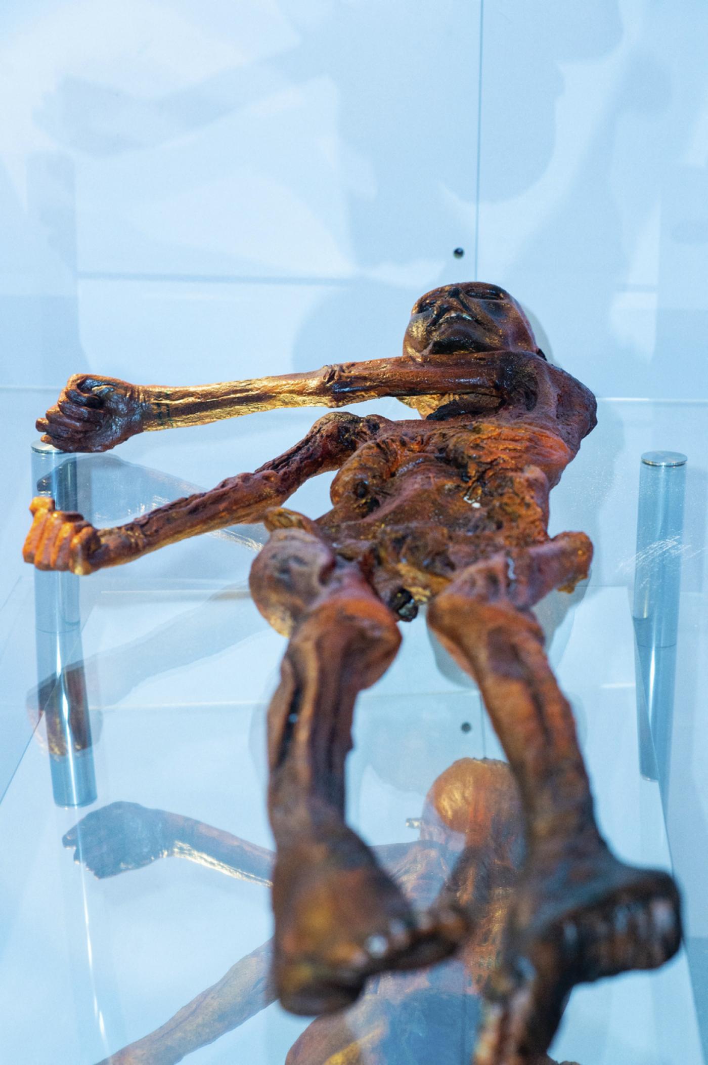 Une réplique de la momie Ötzi du musée archéologique du Haut-Adige à Bolzano.