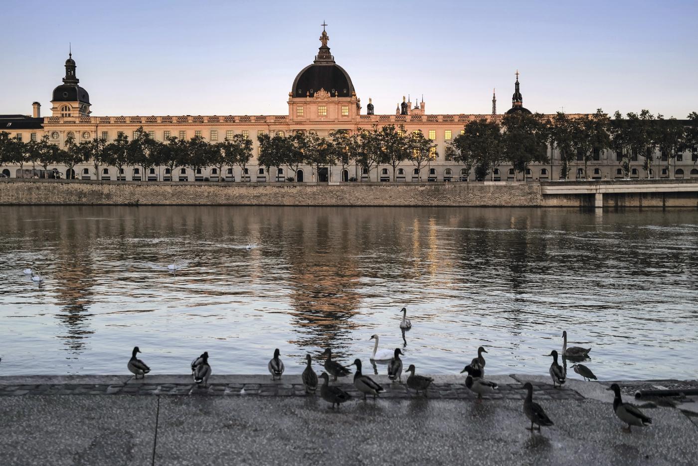 Biennale de Lyon : tisser des récits pour réparer le monde