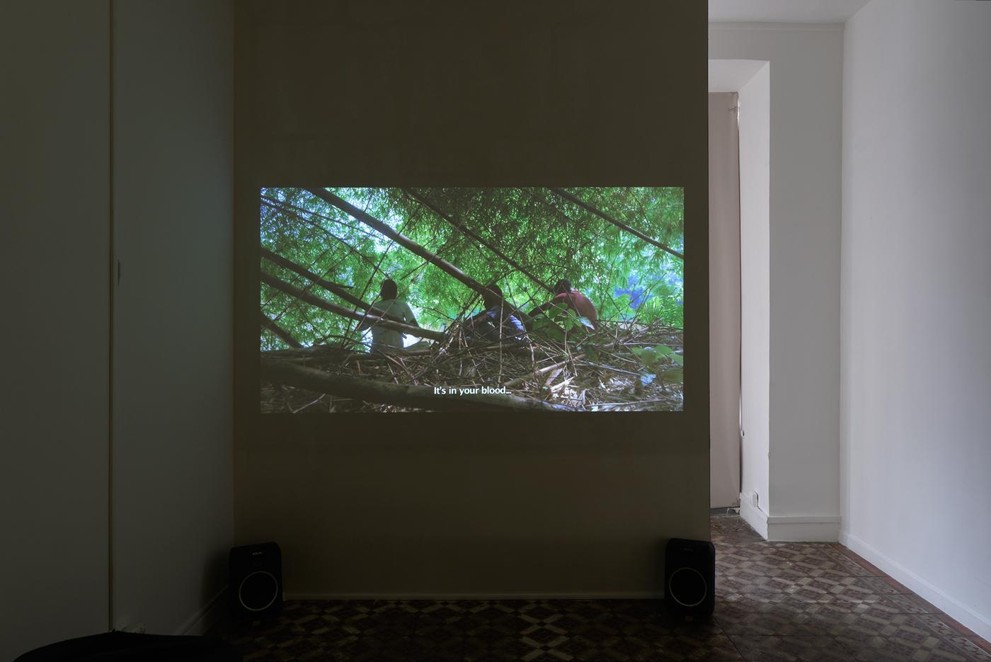 Marie Voignier, Tinselwood, 2017, vidéo HD, 82min, dans l’exposition « Vert monument », 2017, galerie Marcelle Alix, Paris.