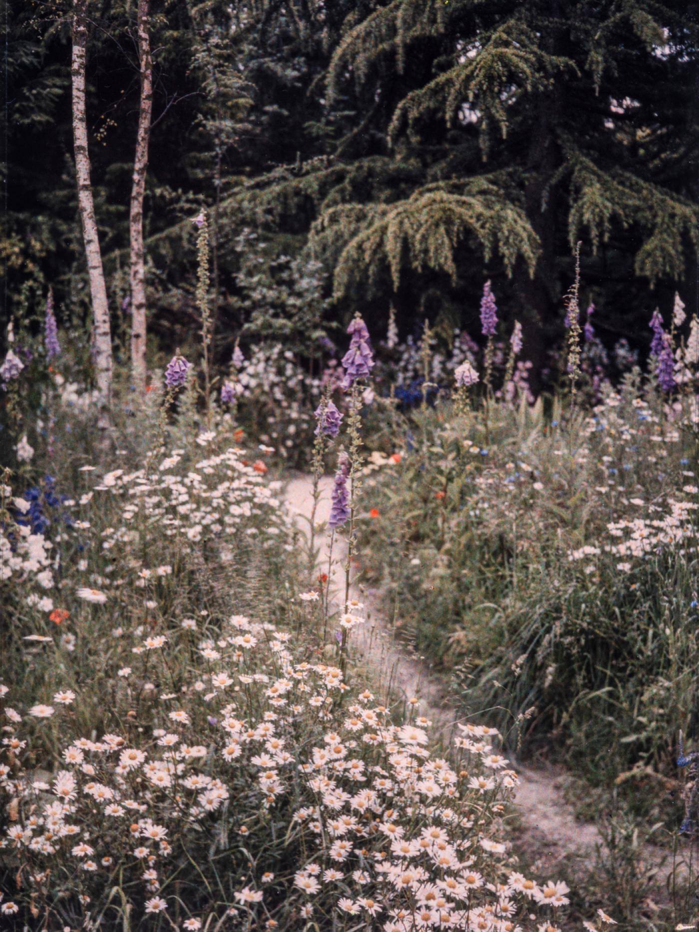 Albert Kahn, côté jardin