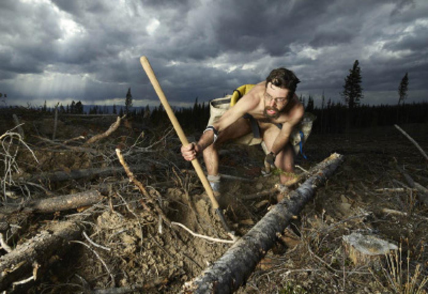 Savez-vous planter des arbres ?