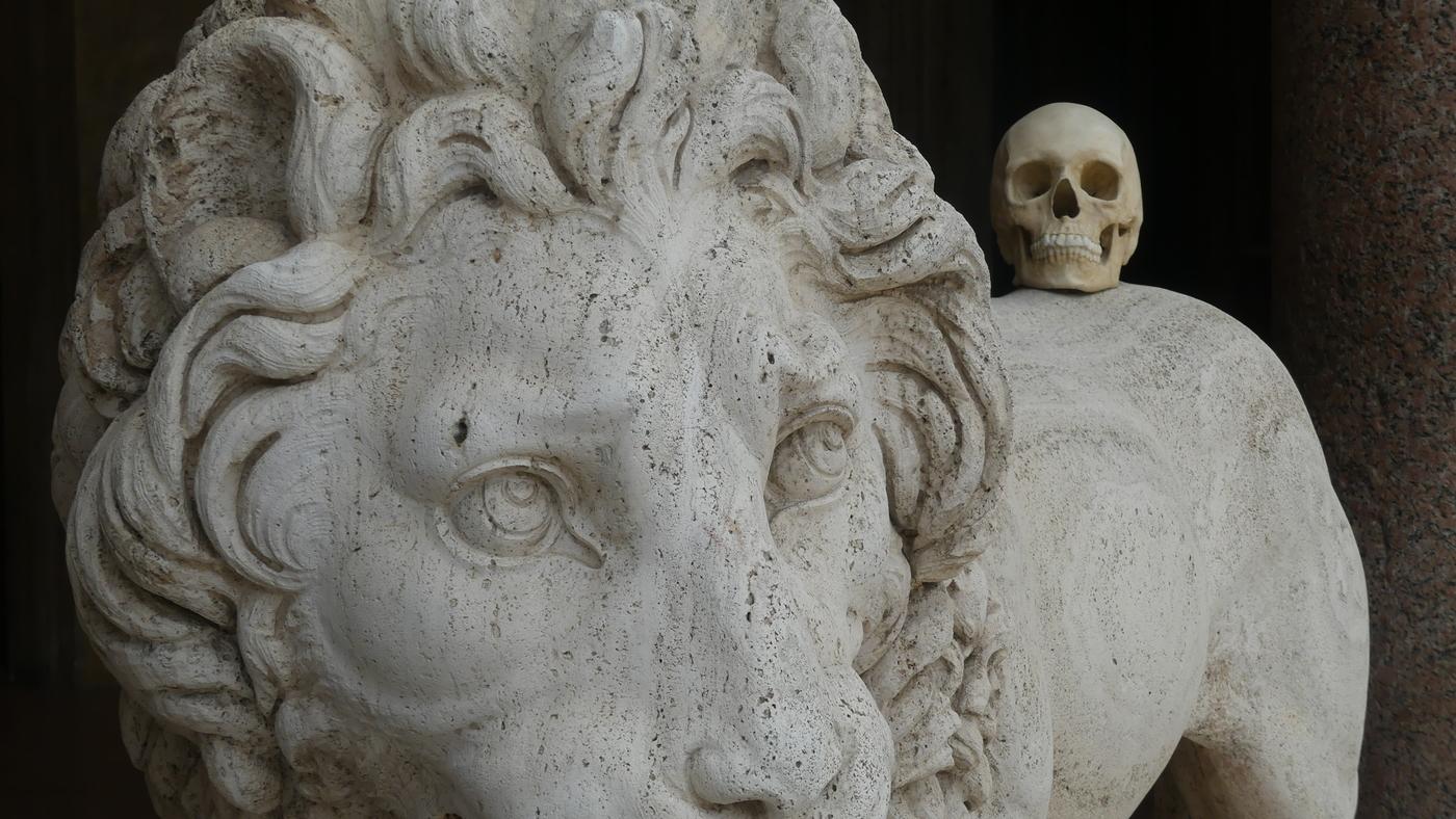 Vraie fausse vanité à la Villa Médicis en amont de l&amp;#039;exposition des pensionnaires 2023-2024. Faux crâne sur une copie de lion (la sculpture originale a été emmenée à Florence) ou comment appréhender la mort quand l&amp;#039;artificiel se substitue à l&amp;#039;authentique ?