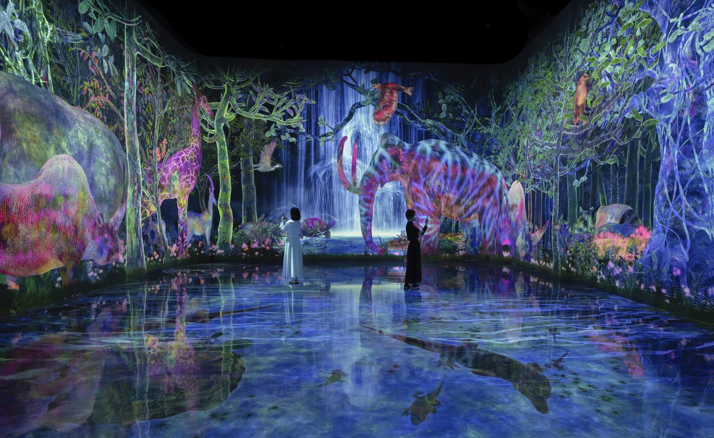 À Tokyo, l'expérience immersive teamLab draine les foules