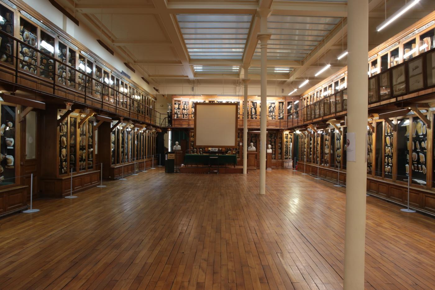 La salle des moulages de l’hôpital Saint-Louis.