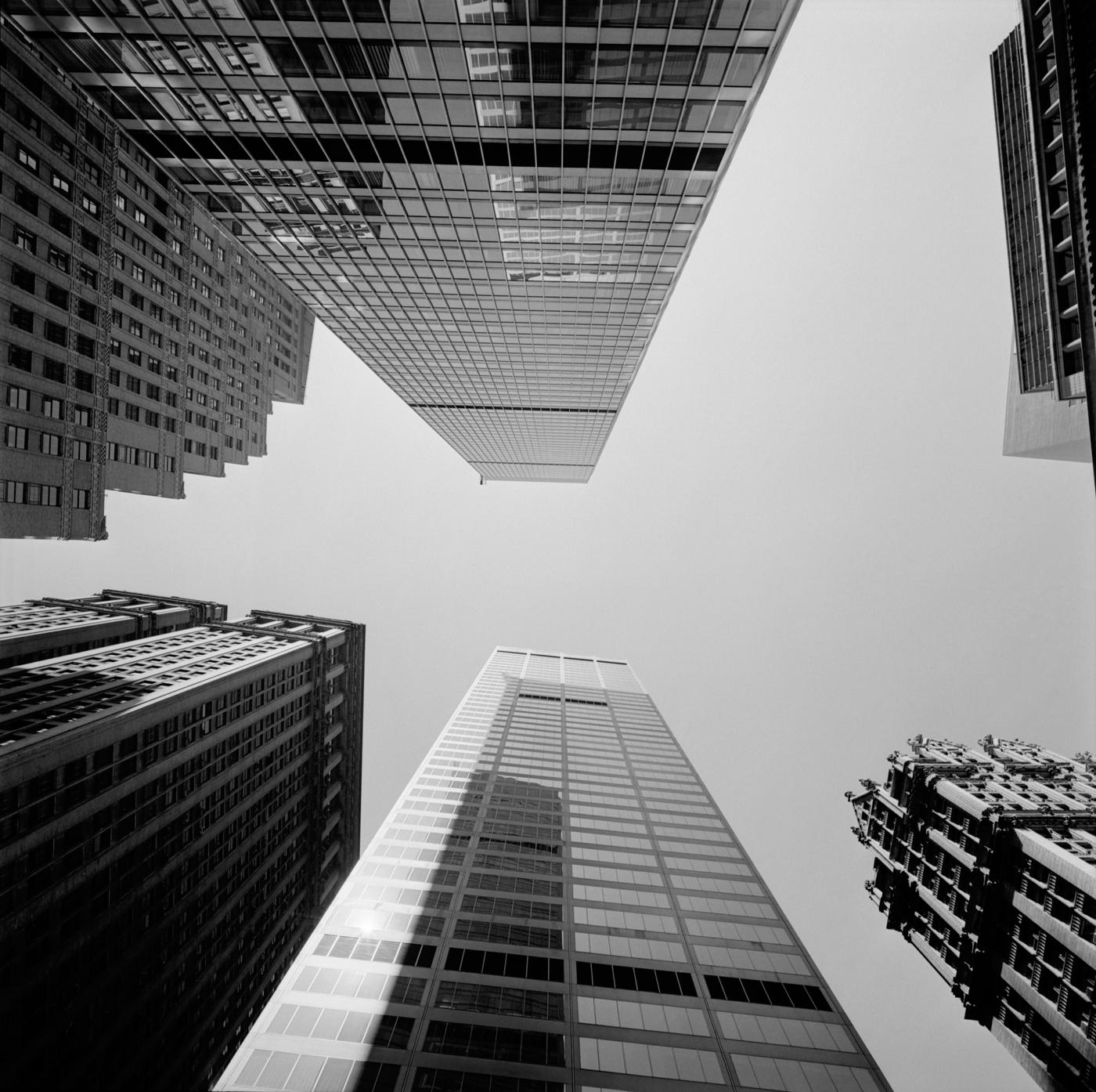 Architecture au féminin