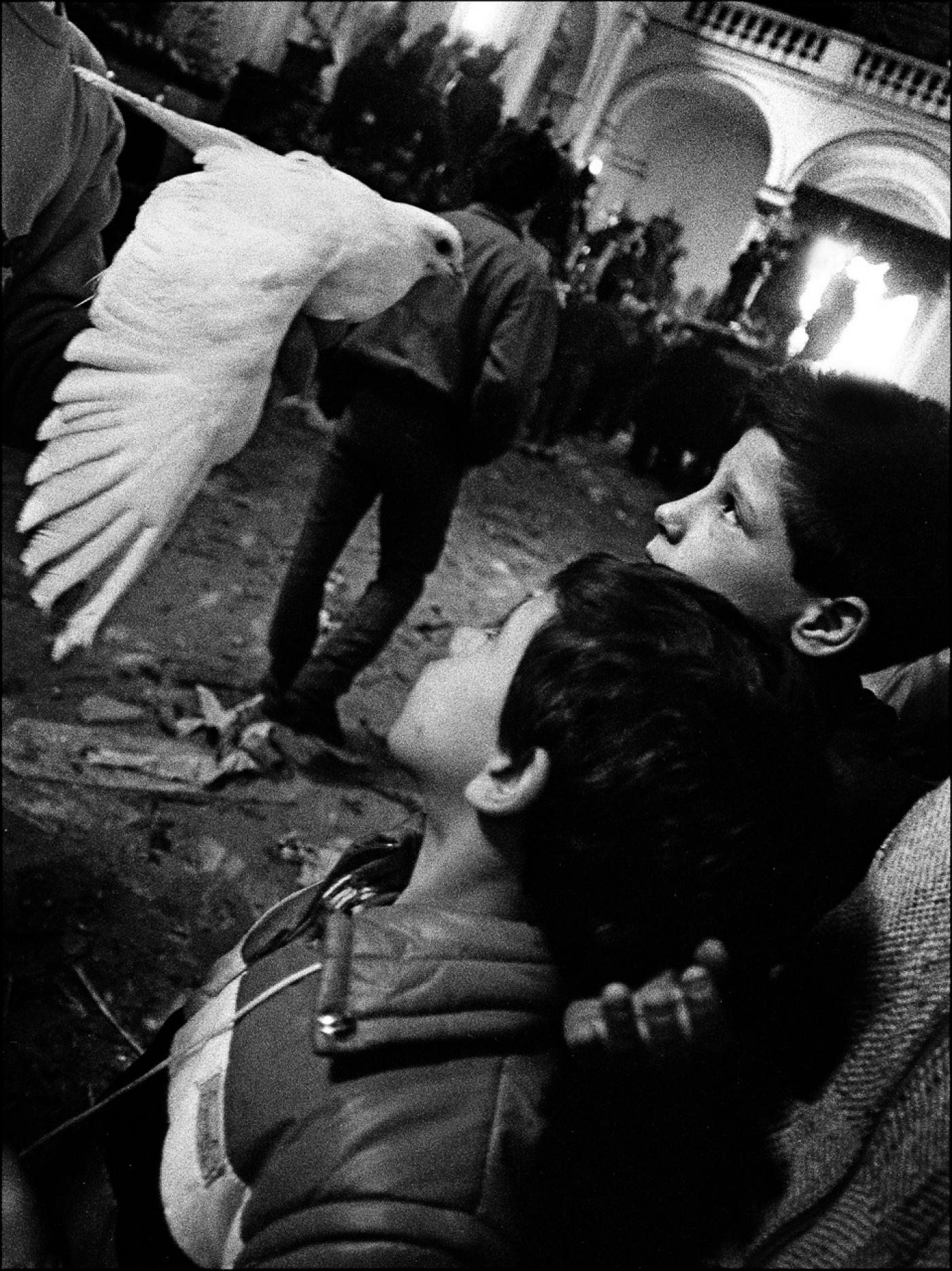 Letizia Battaglia, "Les mystères. Lacolombe, Trapani", 1989.