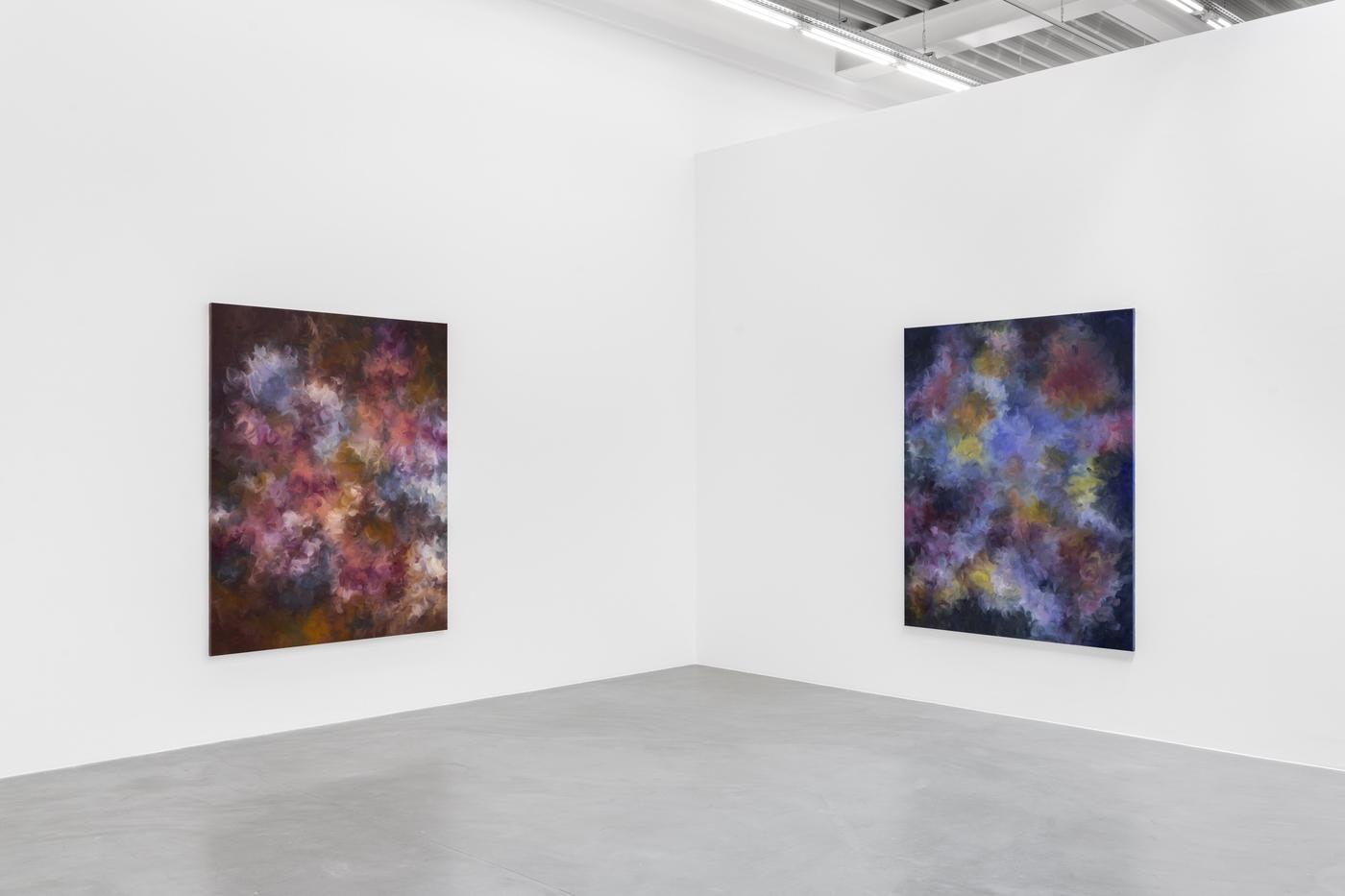 Vue de l&amp;#039;exposition "Sasha Ferré Daughter of Earth and Water", galerie Almine Rech Bruxelles.